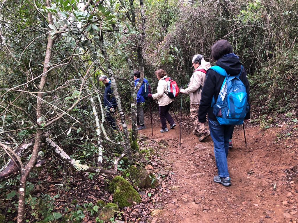 Senderismo “Bosque de Farngorn”