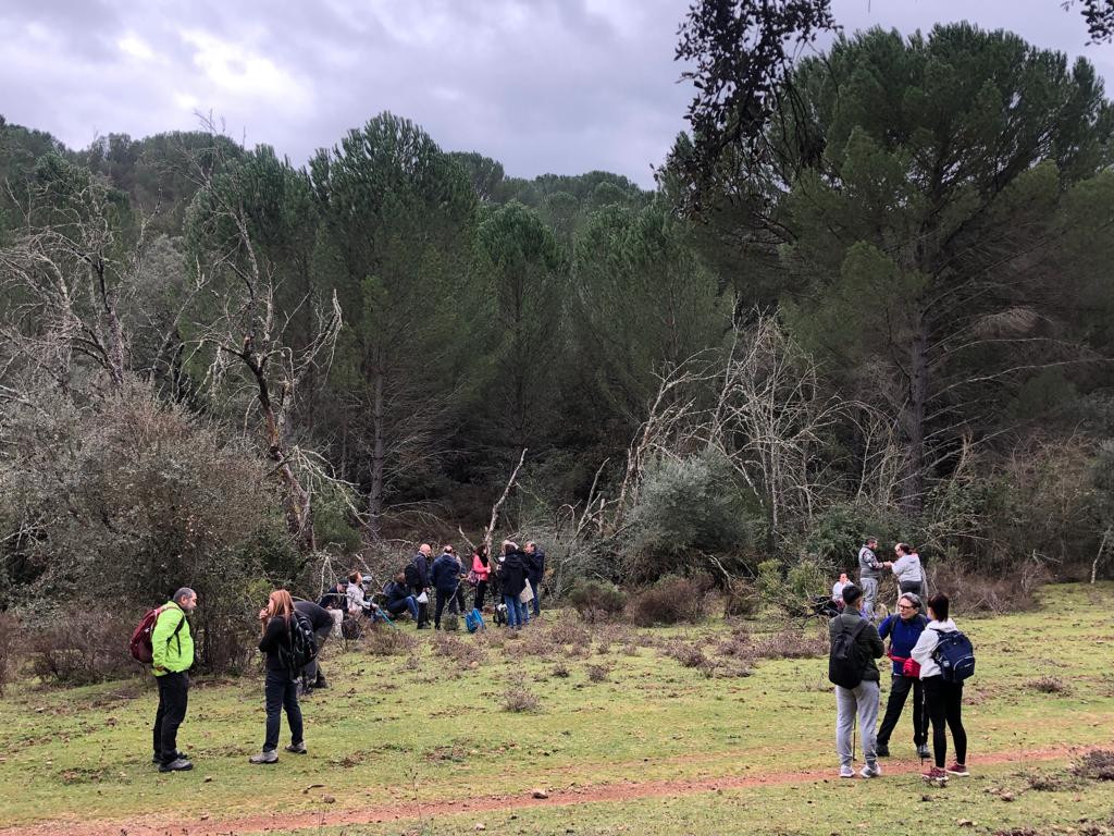 Senderismo “Bosque de Farngorn”