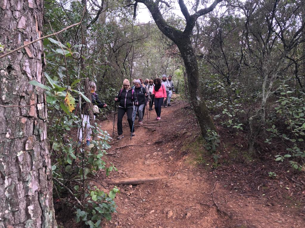 Senderismo “Bosque de Farngorn”